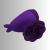 Kopia – mulldercom (1080 x 1080 px) - 2026-04-15T170458.682.png